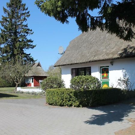 Ferienhaus Ilva In Born Villa Luaran gambar