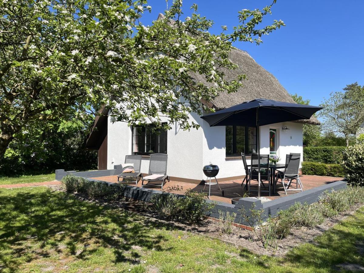 Ferienhaus Ilva In Born Villa Luaran gambar